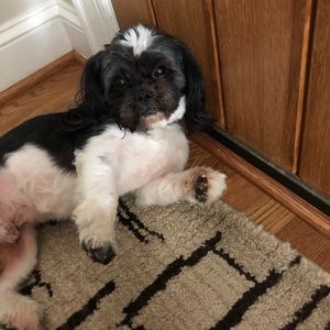 Meet your Posher, Avery